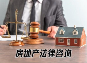 房地產(chǎn)法律咨詢與房地產(chǎn)信息咨詢 構(gòu)建投資決策的堅(jiān)實(shí)雙翼