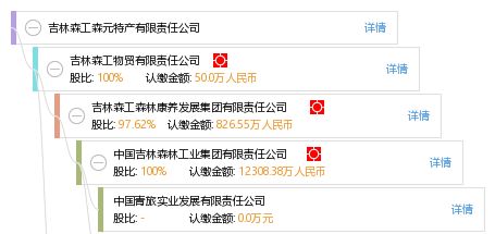 解讀數(shù)據(jù)賦能 吉林森工森元特產(chǎn)有限責(zé)任公司全維工商信息洞察